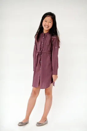 Aubergine Frill and PinTuck Detail Full Sleeved Shirt Dress