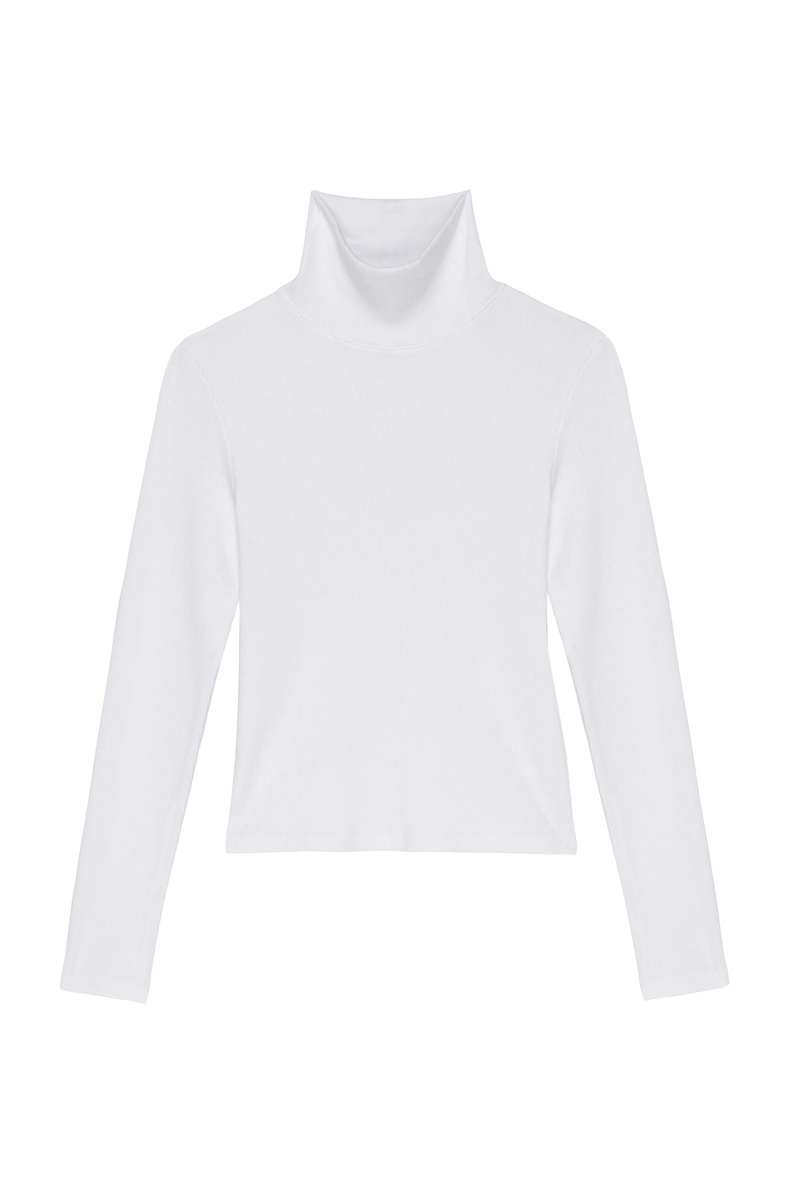 Rib Turtleneck in Powder