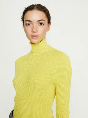 Turtleneck in Yellow